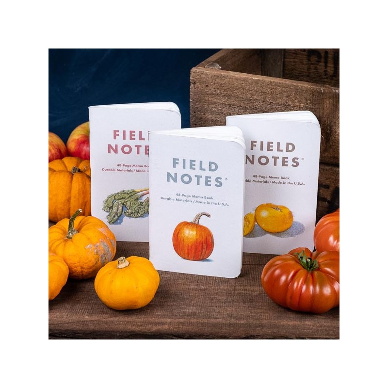 Pack 3 carnets FIELD NOTES HARVEST series A - Made in USA