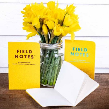 Notebook Signs Of Spring  3 pack FIELD NOTES