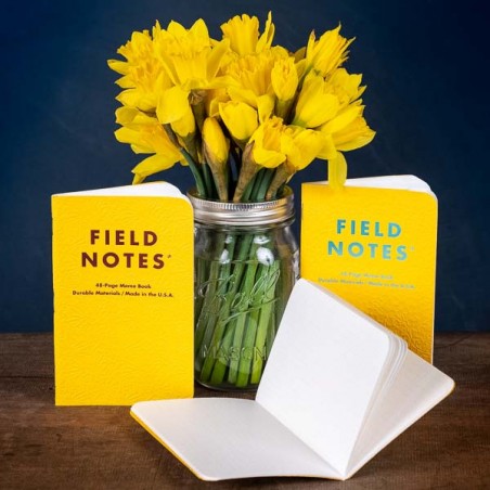 Pack 3 carnets FIELD NOTES Signs Of Spring - Made in USA