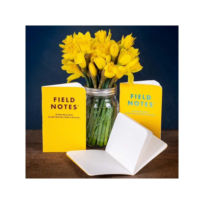 Pack 3 carnets FIELD NOTES Signs Of Spring - Made in USA