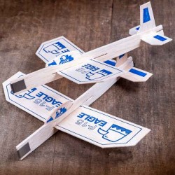Set of 2 Eagle F15 balsa gliders Made in USA
