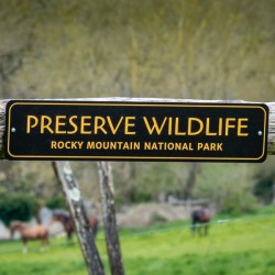 Preserve Wildlife Metal Sign - made in USA