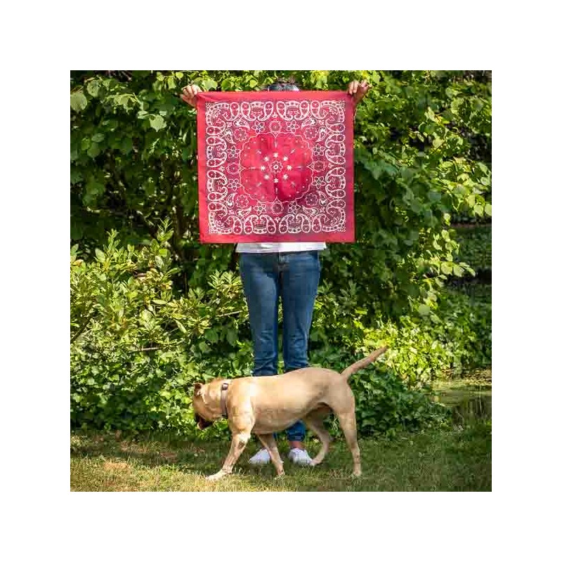 Big bandana XL red rustic paisley pattern Made in USA