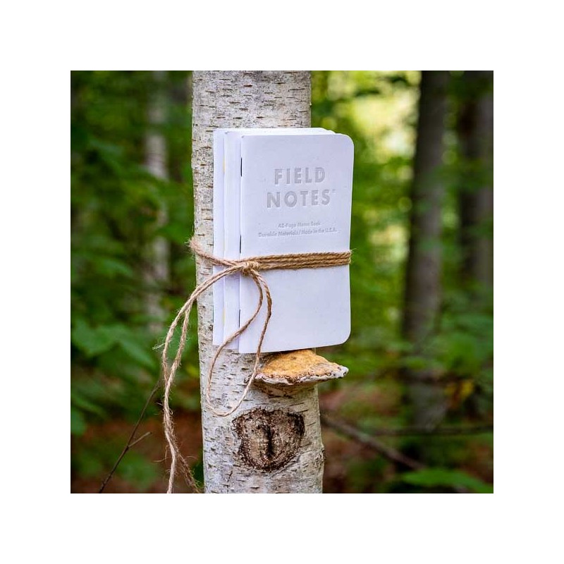 Pack 3 carnets FIELD NOTES Birch Bark - Made in USA