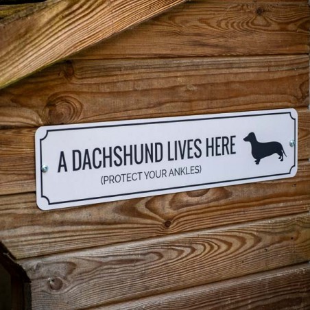 Dachshund lives here Metal Sign Made in USA