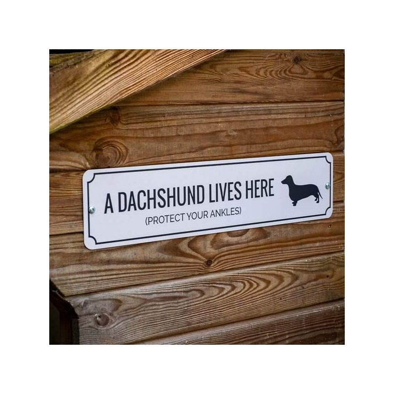 Dachshund lives here Metal Sign Made in USA