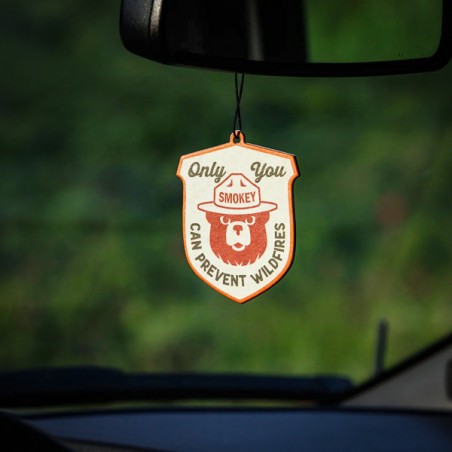 Désodorisant pour voiture SMOKEY pin & sauge