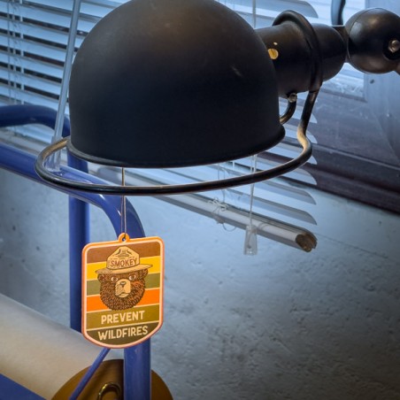 Désodorisant pour voiture SMOKEY Pin & Agrumes