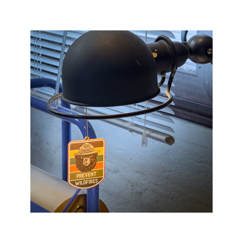 Désodorisant pour voiture SMOKEY Pin & Agrumes