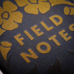FIELD NOTES Fall Flowers