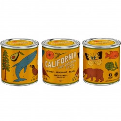 Scented candle in a metal tin – California