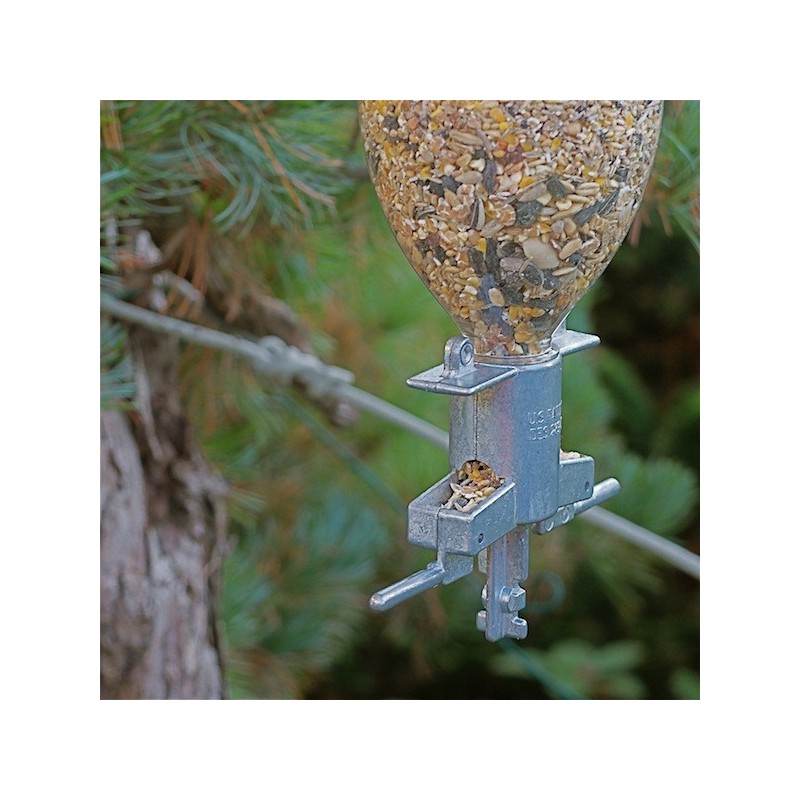 Soda Bottle Bird Feeder Le Comptoir Americain