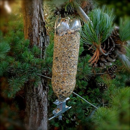 SODA BOTTLE BIRD FEEDER