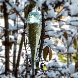 SODA BOTTLE BIRD FEEDER