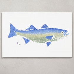 GYOTAKU print STRIPED BASS 30x45cm