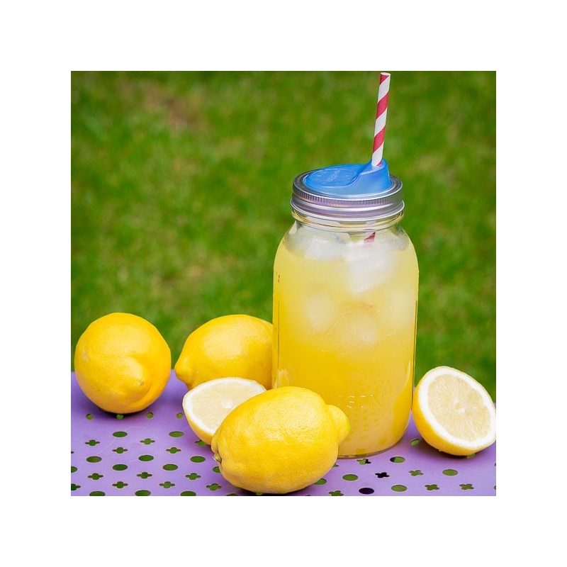 POT BOCAL MASON JAR REGULAR 32 oz⎟