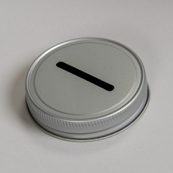 Coin Slot Lid - Regular - Made in USA