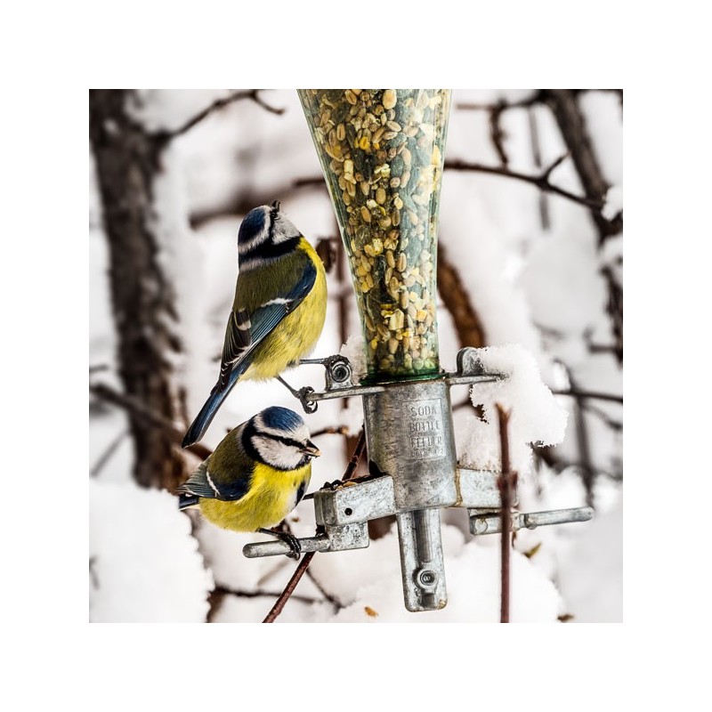 1 Pièce Distributeur De Nourriture Pour Oiseaux En Métal Avec