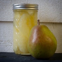 Ball 12 oz Quilted Crystal Jars with Bands