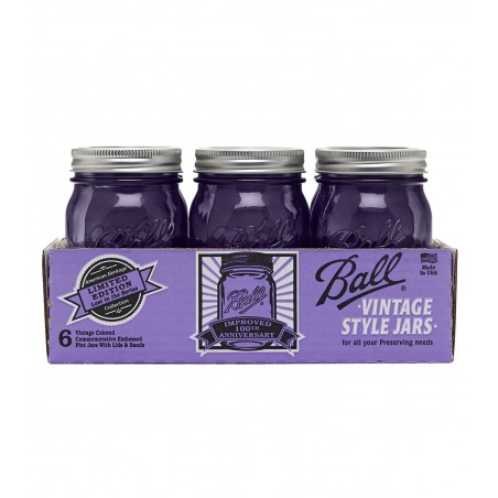 REGULAR Mouth 16oz PURPLE x 6 pièces