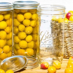 BALL HERITAGE - WIDEMOUTH MASON JAR - (20 oz.)