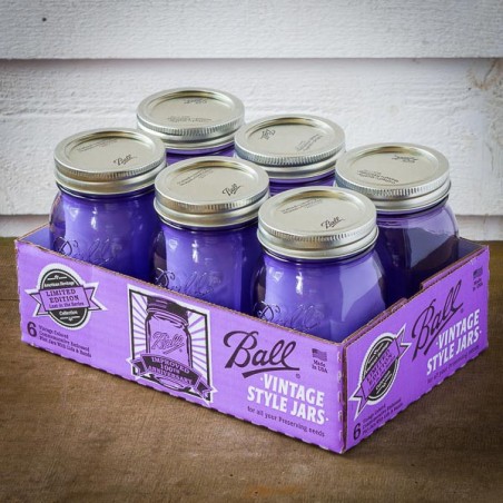 Mason Jar Regular PURPLE 16oz  USA