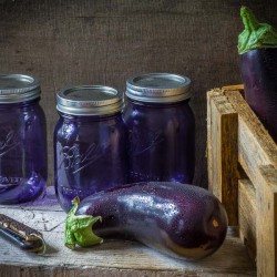 Mason Jar Regular PURPLE 16oz  USA