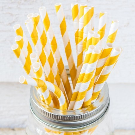 PAPER STRAW CANDY APPLE ⎟ AARVARK⎟ LE COMPTOIR AMERICAIN