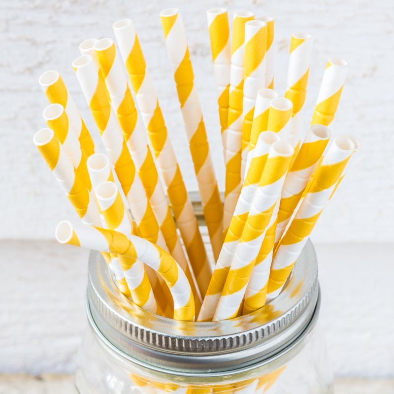 Blue and Red Stars Paper Straws made in USA⎟ AARVARK⎟ LE COMPTOIR AMERICAIN