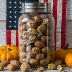 Mason Jar Ball -1 GALLON - made in USA