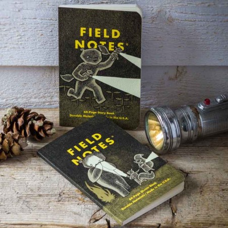 Notebook DIME NOVEL EDITION - set of two.  FIELD NOTES