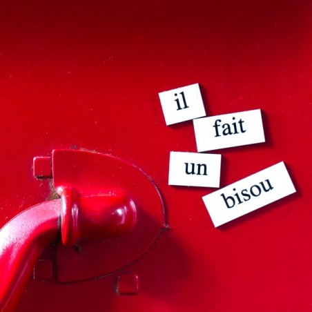 Box French word magnets - made in USA