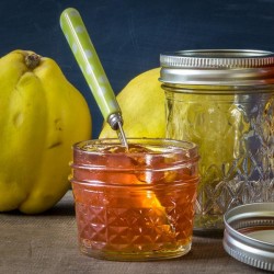 Ball 12 oz Regular Mouth Quilted Crystal Jars with Bands