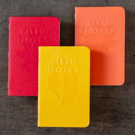 Notebook Autumn Trilogy  FIELD NOTES