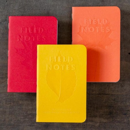 Pack 3 carnets FIELD NOTES Autumn Trilogy - Made in USA