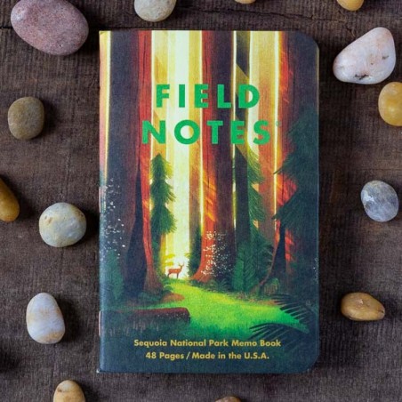 Notebook National Park series D FIELD NOTES