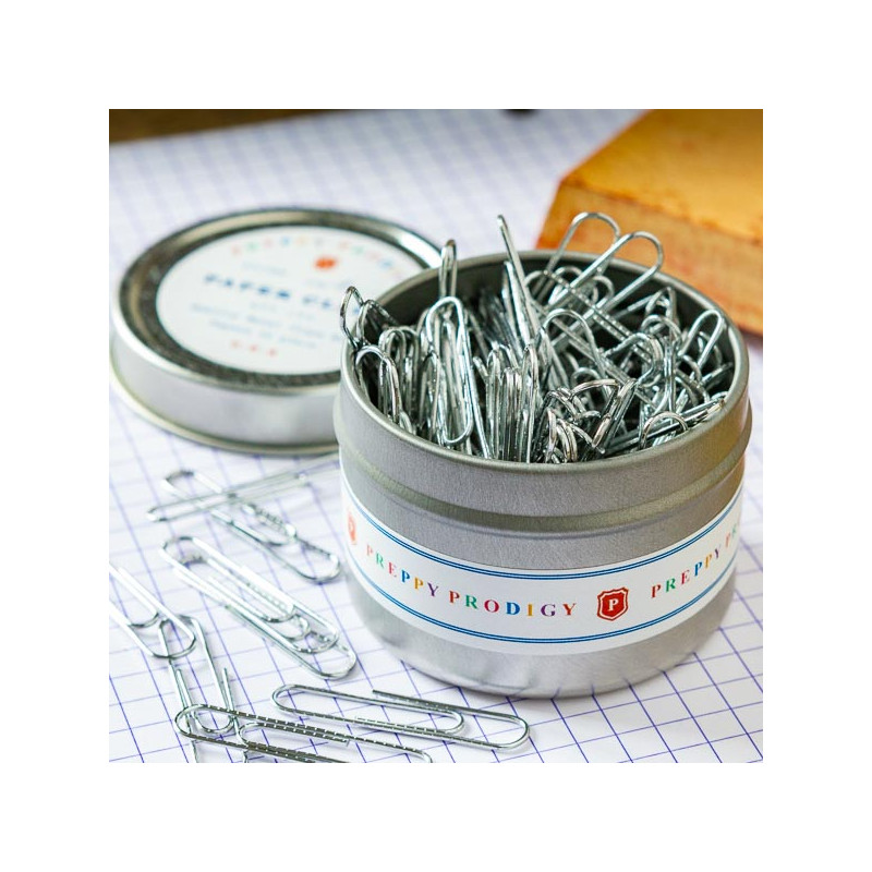 Paper clips Box of 100 ⎟