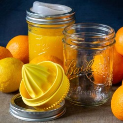 Mason Jar 16oz juicer