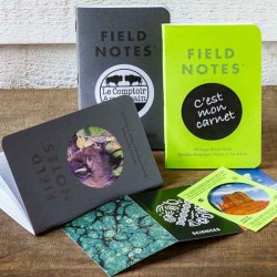 Pack 3 carnets FIELD NOTES Vignette - Made in USA