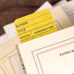 MARQUE-PAGE carte de bibliothèque en bois d’érable jaune