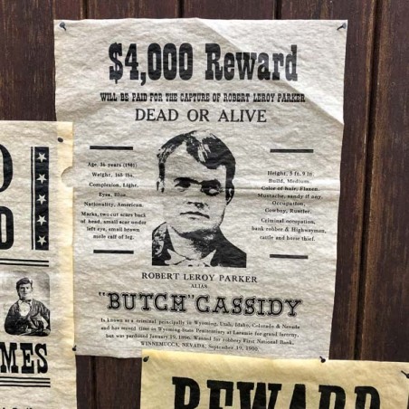 Wild West Outlaws Historical Document Set