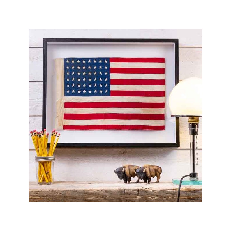 Framed 48 star American flag.