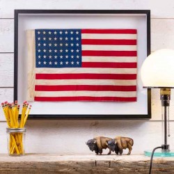 Framed 48 star American flag.